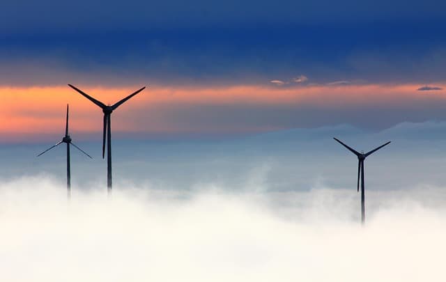 Les meilleures pratiques pour des vacances écologiques