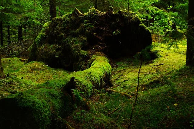 5 erreurs à éviter pour des vacances écologiques réussies