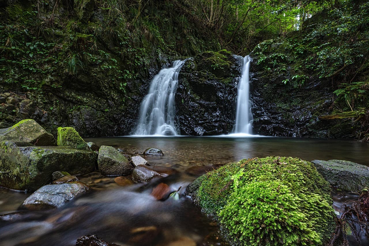 Les avantages de l'écotourisme pour l'environnement et les voyageurs