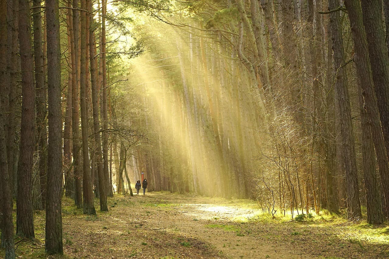 Tendances du voyage durable à suivre en 2026
